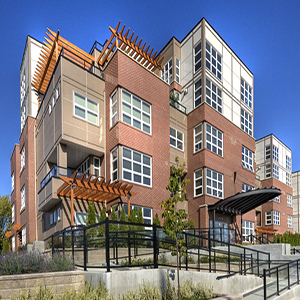 Martin Lofts